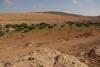 Zone agricole dans le centre du wadi. Marsa Matrouh, © Cirad, Pascal Bonnet.